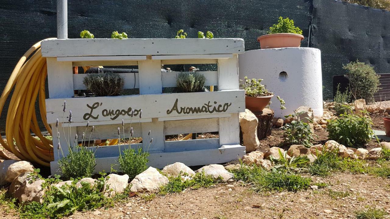 Guesthouse Pintadera Санта-Мария-ла-Пальма Экстерьер фото